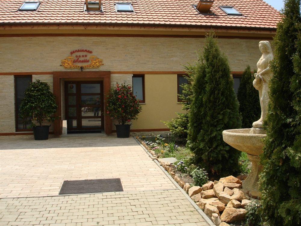 Anette Resort & Spa Covaci Exterior photo